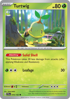 Turtwig — Temporal Forces 010