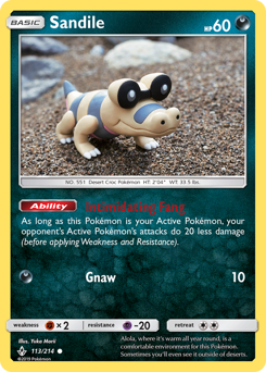 Sandile — Unbroken Bonds 113