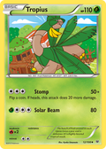 Tropius — XY6 012