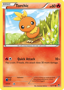 Torchic — Furious Fists 012