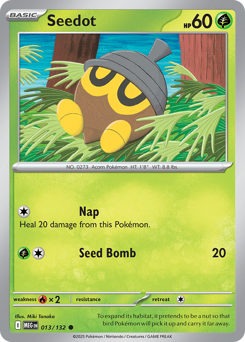 Seedot — Mega Evolution 013