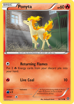 Ponyta — XY11 016