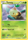 Turtwig — Plasma Storm 001