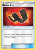 Karate Belt — Unified Minds 201