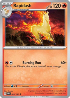 Rapidash — Stellar Crown 020