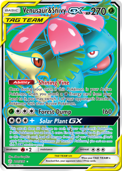 Venusaur & Snivy-GX — Cosmic Eclipse 210