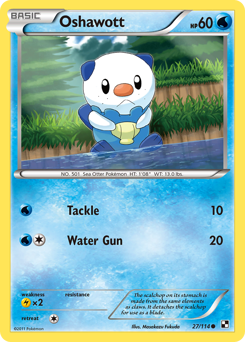 Oshawott — Black & White 027