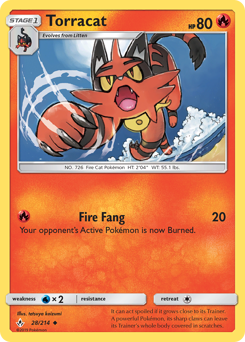 Torracat — Unbroken Bonds 028