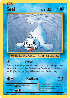 Seel — Evolutions 028