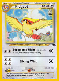 Pidgeot — Southern Islands 002