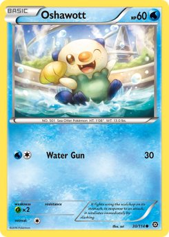 Oshawott — XY11 030
