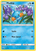 Mudkip — Celestial Storm 033