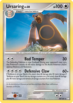 Ursaring — Mysterious Treasures 038