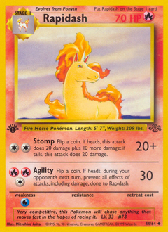 Rapidash — Jungle 044