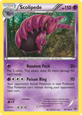 Scolipede — XY 053