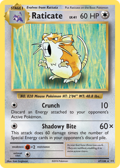 Raticate — Evolutions 067