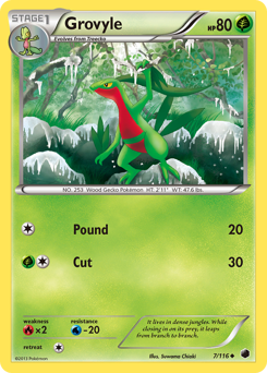 Grovyle — Plasma Freeze 007