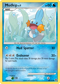 Mudkip — Great Encounters 080