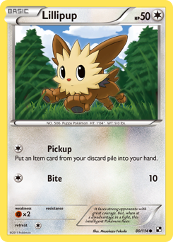 Lillipup — Black & White 080