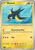 Wattrel — Paldea Evolved 081