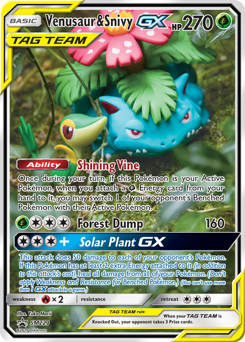 Venusaur & Snivy-GX — SM Black Star Promos SM229