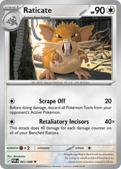 Raticate — Perfect Order 061