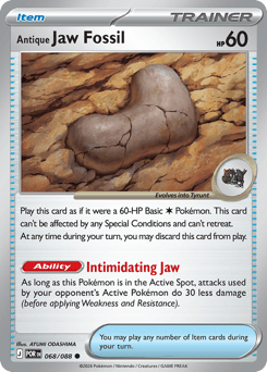 Antique Jaw Fossil — Perfect Order 068