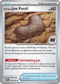 Antique Jaw Fossil — Perfect Order 068